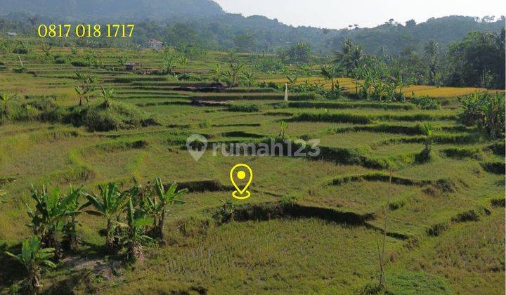 Dijual Tanah Potensial Prospek, Sukamakmur  2