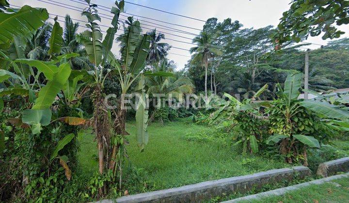 Tanah Di Green Canyon Cijulang Pangandaran 1