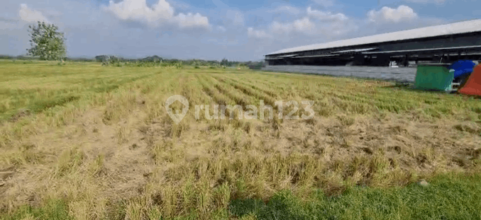 Dry Land Caruban Ngawi Industrial Zone