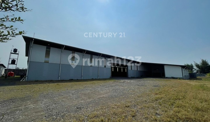 Warehouse and Office in Pantura Maribaya Tegal