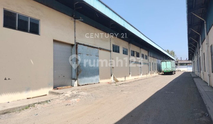 Gudang Dan Kantor Di Pantura Suradadi Tegal 1