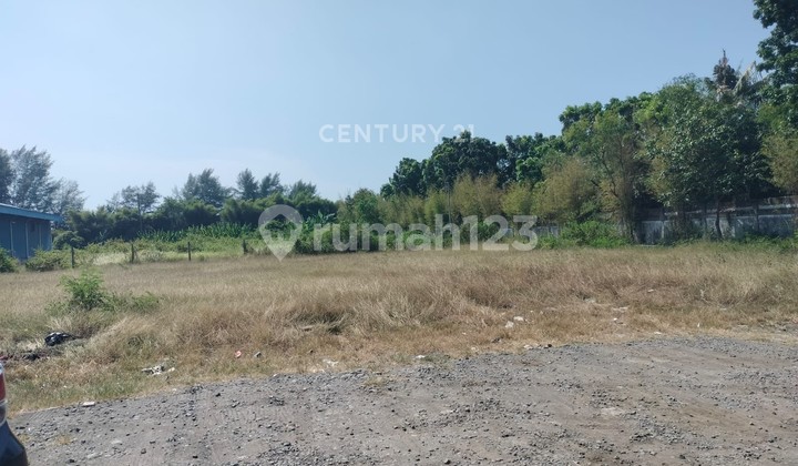 Warehouse and Office on the Pantura, Suradadi, Tegal