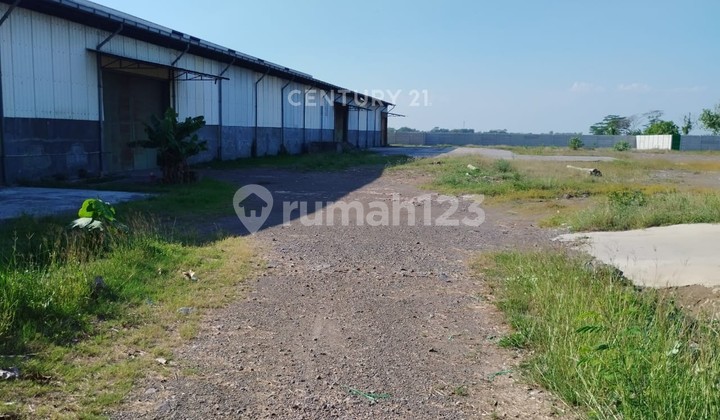 Ready-to-Use Warehouse in Mranggen Semarang 1