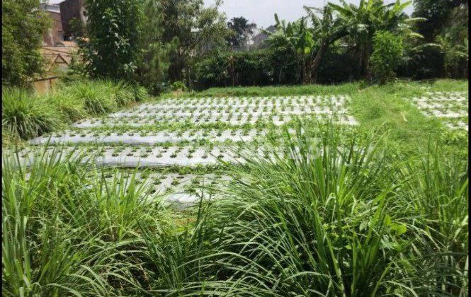 Kom. Setiabudi Regency, North Bandung, Cheapest Price, Ready to Build Kom. Setiabudi Regency, North Bandung, Cheapest Price, Ready to Build