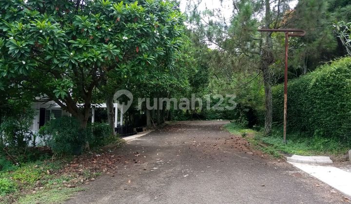 Kom. Dago Resort, Harga Paling Murah, Kontur Turun, Barang Langka Kom. Dago Resort, Harga Paling Murah, Kontur Turun, Barang Langka