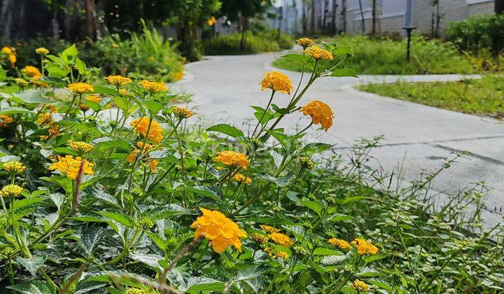 Menarik! Rumah Bagus Modern Siap Huni Dalam Cluster Fashagriya Podomoro Park Bandung 2