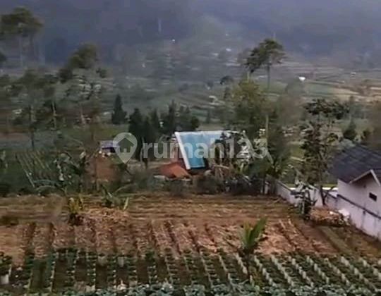 TANAH KEBUN SHM LOKASI DEKAT WISATA Bubu Jungle Ciwidey Cocok Untuk Villa Dan Pertanian TANAH KEBUN SHM LOKASI DEKAT WISATA Bubu Jungle Ciwidey Cocok Untuk Villa Dan Pertanian