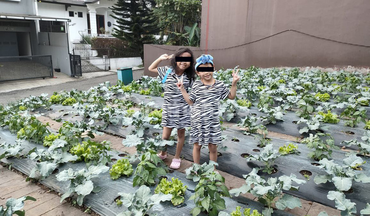 JARANG ADA! TANAH KAVLING SIAP BANGUN DI SETRA DUTA CEMARA