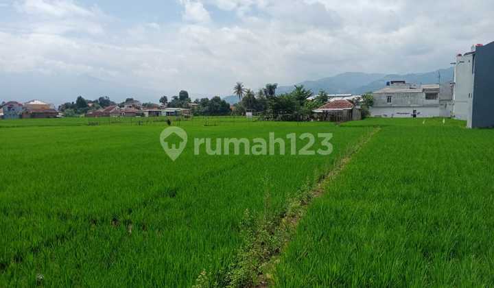 Dijual Tanah Sangat Murah Di Jl.raya Al Fathu Dekat Saung Soreang Dijual Tanah Sangat Murah Di Jl.raya Al Fathu Dekat Saung Soreang