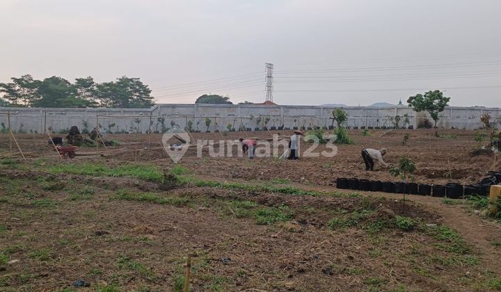 Dijual Tanah Murah di Margaasih Haga 1,5Jta/Mtr Nego