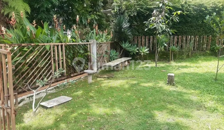 Rumah Belanda di Area Riau Martadinata SHM 2