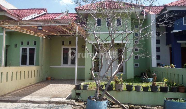 Murah Rumah di Pinus Regency Bagus SHM siap Huni 1