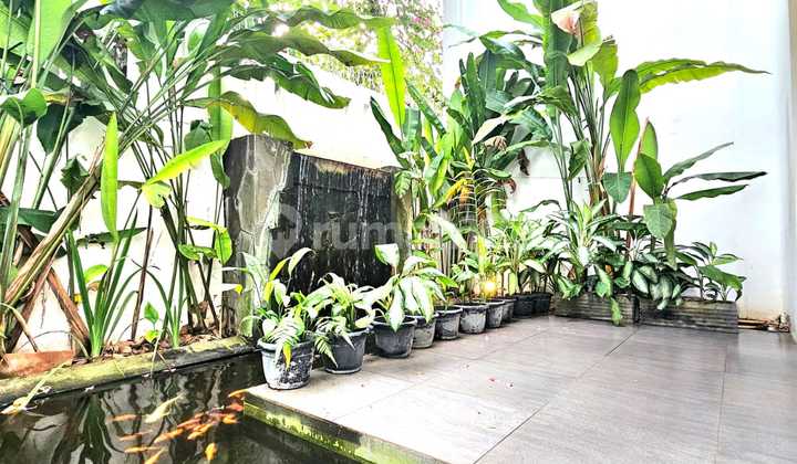 Rumah Modern Dijual Segera Siap Huni di Cikini Bintaro Jaya Lr-16343 2