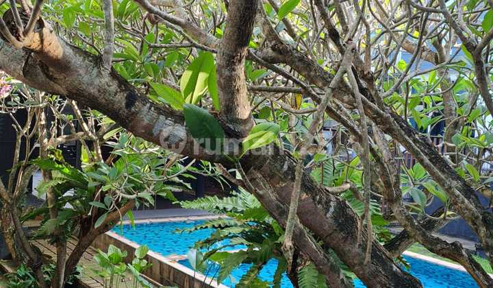 Jual Rumah Modern Carport Luas Plus Swimming Pool di Parigi Baru Cw-17091 2