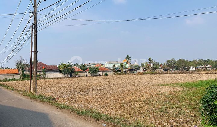 Tanah Ex Sawah Pasar Kemis Tangerang Tanah Ex Sawah Pasar Kemis Tangerang