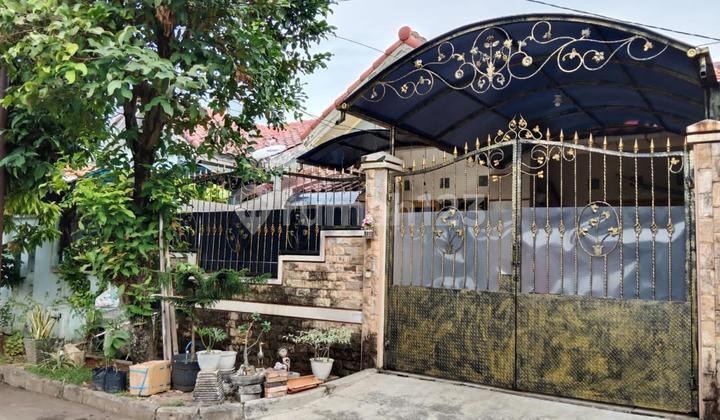 Rumah Bagus Murah Terjangkau Alam Raya Tangerang Rumah Bagus Murah Terjangkau Alam Raya Tangerang