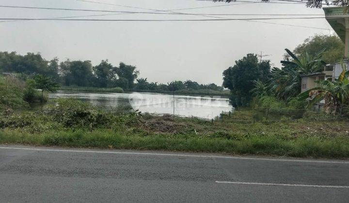 Juql cepat tanah strategis Nol Jalan Raya Morowudi Cerme Gresik 1