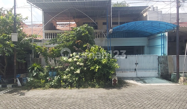 Rumah 2 Lantai Gayungsari Barat Dekat Trans Icon Rumah 2 Lantai Gayungsari Barat Dekat Trans Icon