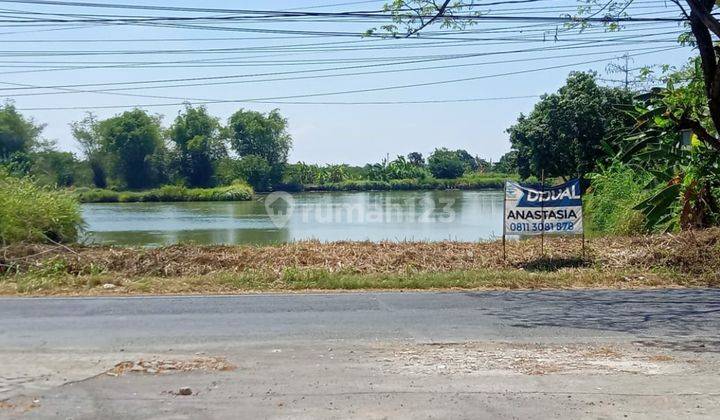 Jual Tanah Raya Morowudi Cerme Gresik 0 Jalan Raya 1