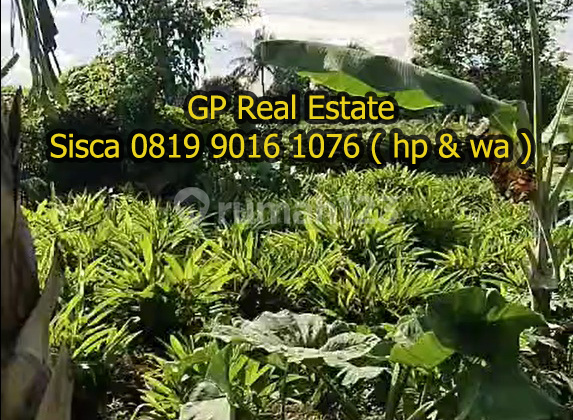 Jual murah Kavling 2360m2 pinggir jl Bojong Nangka Cikeas Bogor F06 Jual murah Kavling 2360m2 pinggir jl Bojong Nangka Cikeas Bogor F06