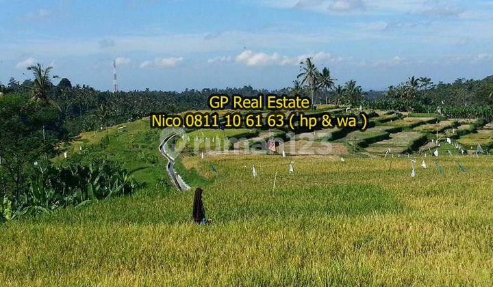 Jual Tanah bukit 3.96ha Ubud Payangan Bali LANGKA! cocok villa N1111
