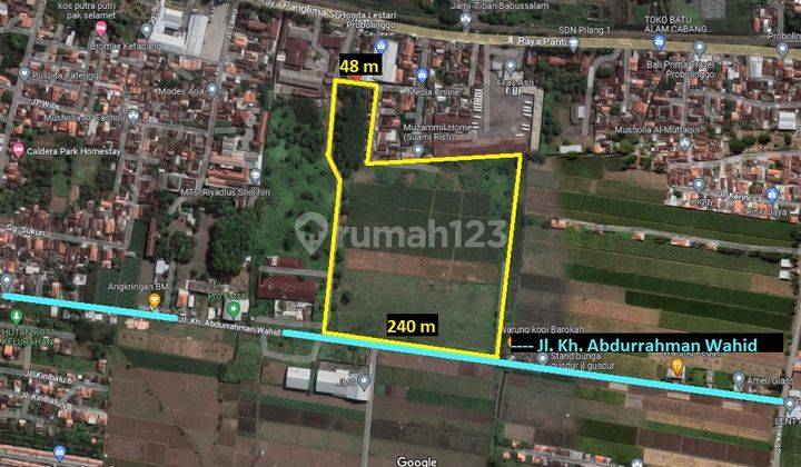 N844 Dijual Tanah di Pilang Kademangan Probolinggo Jatim 66.000m2 1