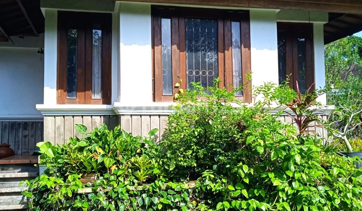 Jual Rumah 2.680 m2 Jl Cokroaminoto Denpasar MURAH N1097 1