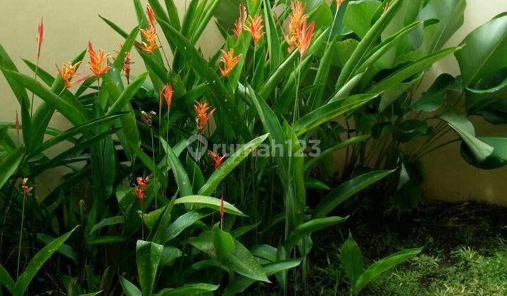 Dijual rumah cepat daerah Denpasar Selatan  9