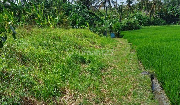 Di jual tanah lokasi elit strategis view sawah  1