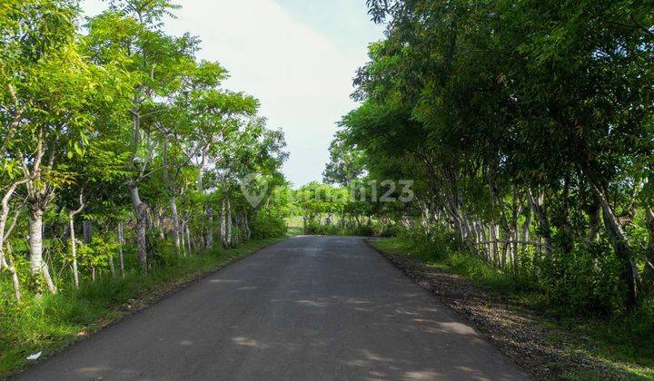 Land for sale at Bingin Pecatu ocean view location  2