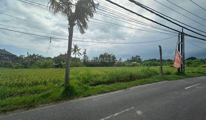 Di jual Tanah lokasi sangat dekat Pantai strategis nyaman  2