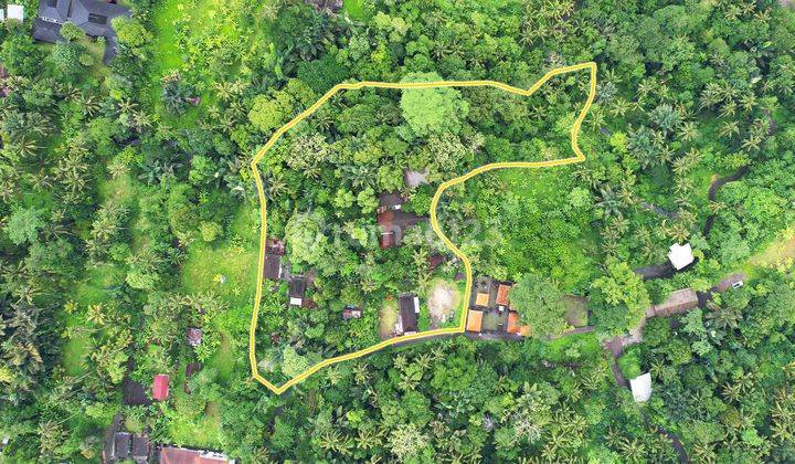 Di Jual Tanah Lokasi Sangat Bagus Nyaman Lokasi Bongkasa  2