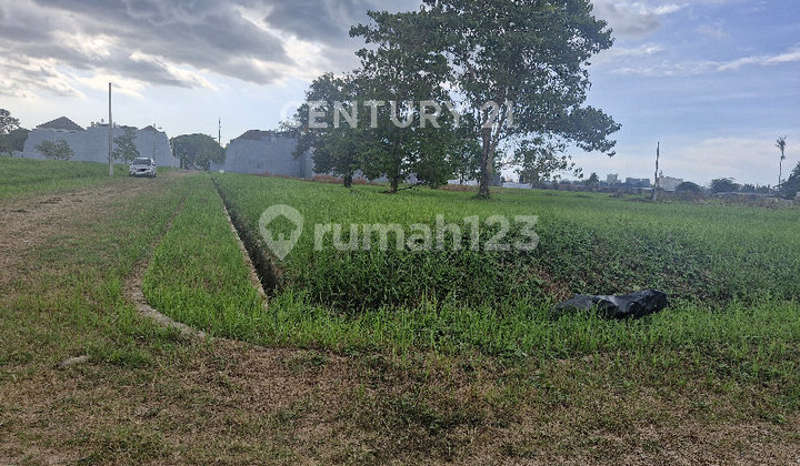 Tanah Luas Siap Bangun Dalam Cluster Mewah Tanjung Bunga Makassar