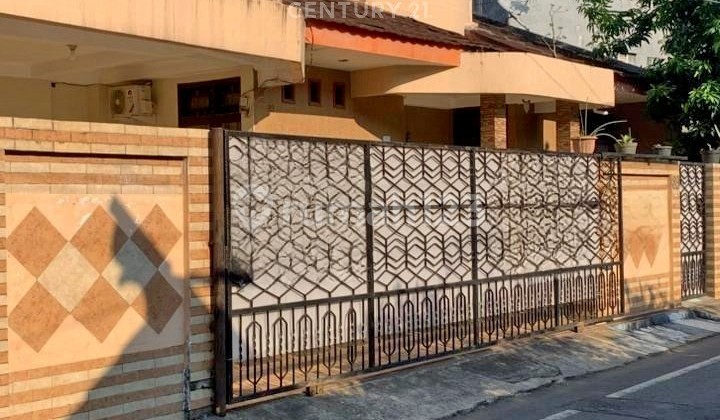 Rumah Strategis Dan Siap Huni Di Jalan Kancil Selatan Rumah Strategis Dan Siap Huni Di Jalan Kancil Selatan