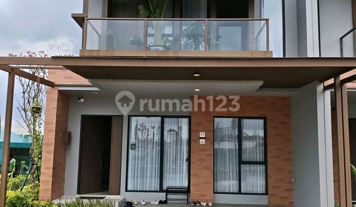 The Forestine Cluster Cedarwood Tipe Cedar 7