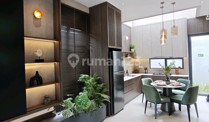 The Forestine Cluster Cedarwood Tipe Cedar 7 2