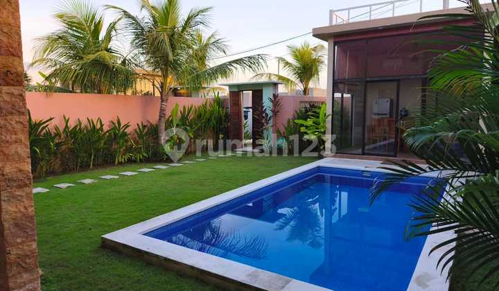 Comfortable Villa Located in Seseh Mengwi Bali Comfortable Villa Located in Seseh Mengwi Bali