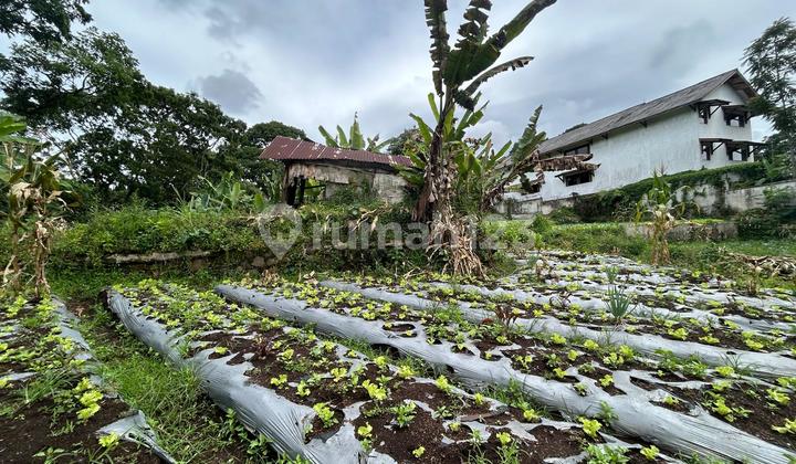 Dijual Tanah Kosong, Harga Dibawah NJOP, Lokasi Premium, di Mainroad Jln Setiabudhi Dijual Tanah Kosong, Harga Dibawah NJOP, Lokasi Premium, di Mainroad Jln Setiabudhi