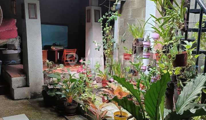 For Sale House in Tki 3 1