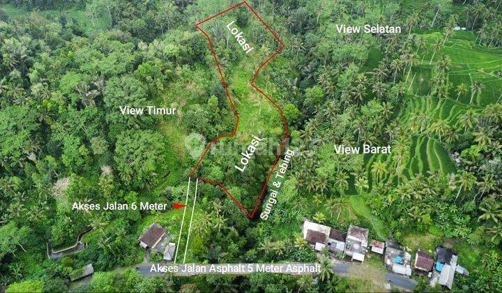 Lahan Luas View Cantik Cocok Villa di Ubud Tegal Lalang Bali 1