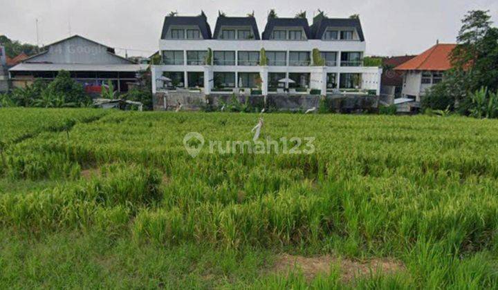 Tanah Luas Strategis Cocok Villa Dan Hotel di Sayap Raya Canggu 2