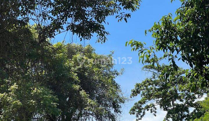 Beach Front Land with Ocean View Located in Ungasan Bali 2