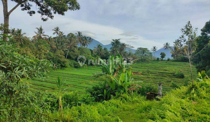 Tanah Padat Cocok Untuk Villa Dekat Wisata Hot Spring Tabanan  1