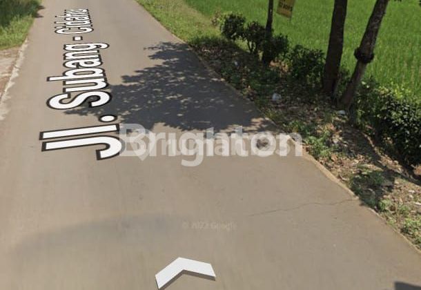 For Sale Rice Field Jl Cidahu Subang Village Balingbing For Sale Rice Field Jl Cidahu Subang Village Balingbing