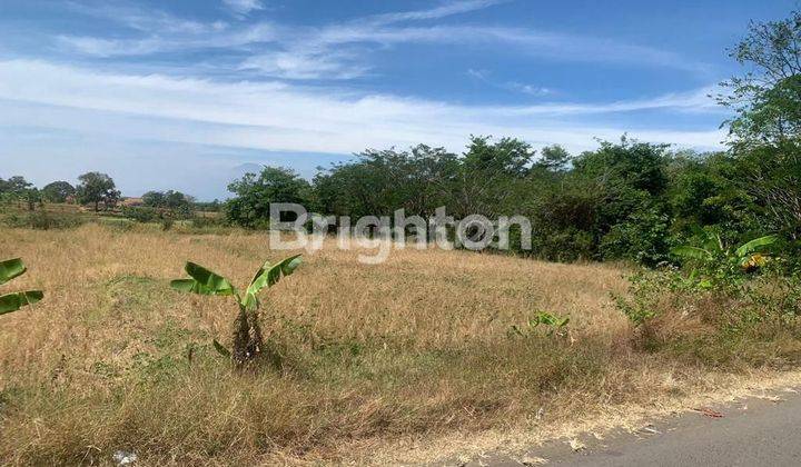 TANAH DATAR SIAP BANGUN DEKAT BANDARA KERTAJATI DI JALAN UJUNG JAYA MAJALENGKA 1