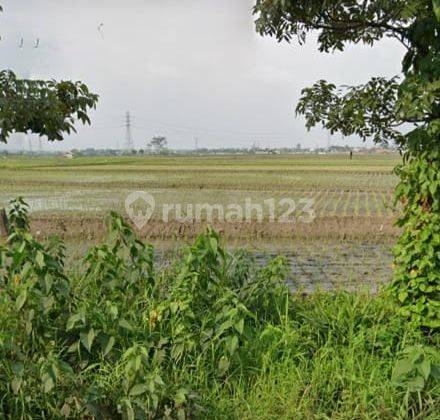 Tanah Sawah Cocok Untuk Di Jadikan Lahan Komersil Di Mainroad Jalan Pener Margaasih Bandung 1