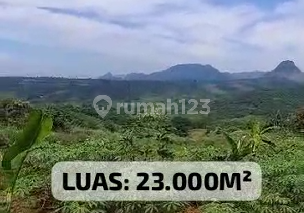 For Sale, Mom! Beautiful Land + Cool + Flood-Free - Sukadamai Jonggol, Bogor For Sale, Mom! Beautiful Land + Cool + Flood-Free - Sukadamai Jonggol, Bogor