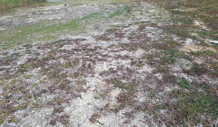 Land For Sale Quickly For Factory/Warehouse Strategic Location Ready to Build in East Cikarang