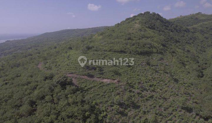 Land for sale in a Super Premium location in East Penida, Bali 1