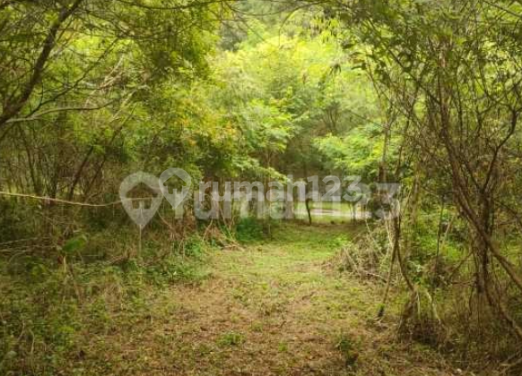 For Sale Kavling Exclusive Northridge View Bukit Hambalang Sentul City Bogor For Sale Kavling Exclusive Northridge View Bukit Hambalang Sentul City Bogor